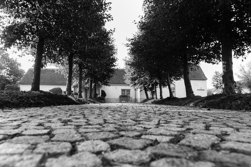 Country House Duinhof デ ハーン エクステリア 写真