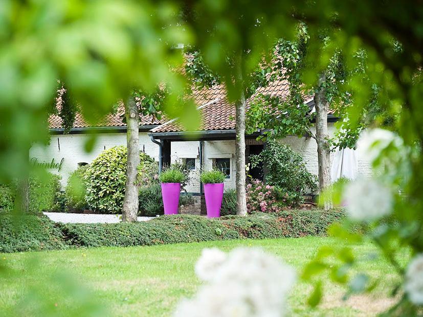 Country House Duinhof デ ハーン エクステリア 写真